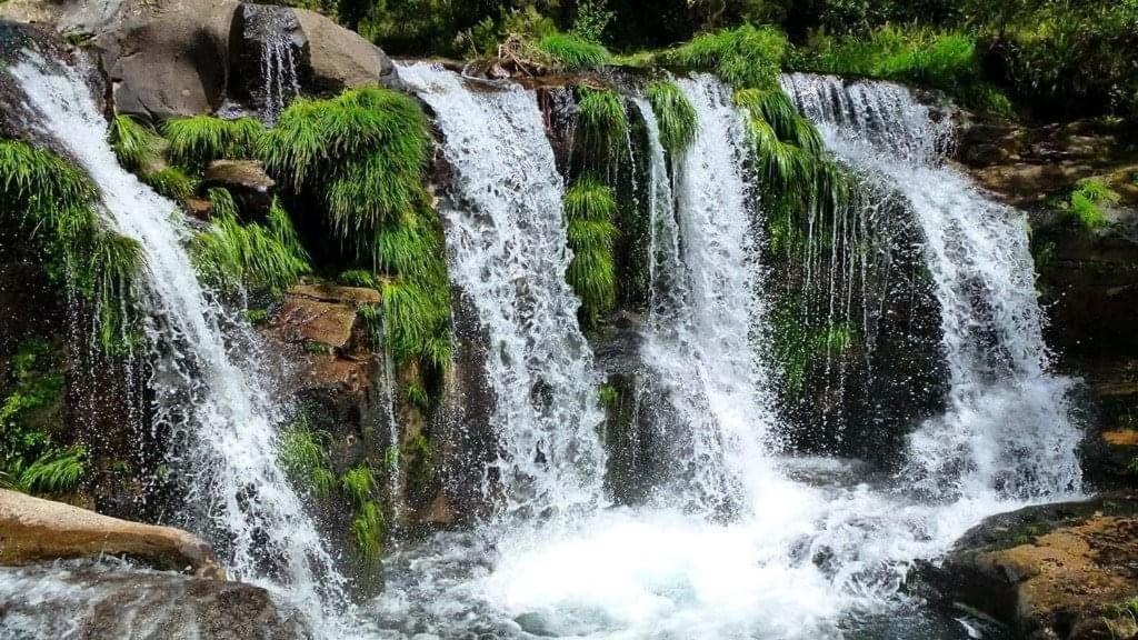 Lago Da Garca Guesthouse Sao Pedro do Sul Ngoại thất bức ảnh