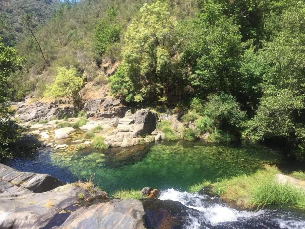 Lago Da Garca Guesthouse Sao Pedro do Sul Ngoại thất bức ảnh